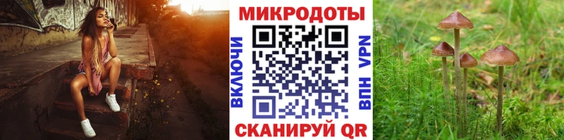 Купить где  Сковородино  Псилоцибиновые грибы мухоморы 